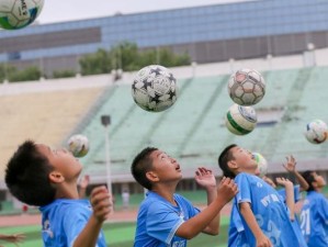少年足球技巧大全——打造未来之星的必备指南（少年足球技巧的训练方法和实践经验，助力年轻球员成长）