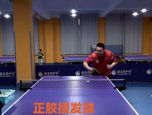 乒乓球教学讲解（通过科学教学方法，提高乒乓球技巧水平）