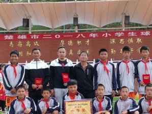 乒乓球卧板技巧教学教案（提高乒乓球卧板技术的有效方法）
