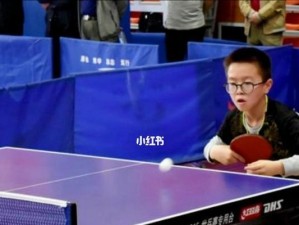 乒乓球平推球处理技巧（提高乒乓球平推球的准确性和稳定性）