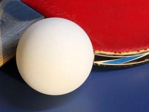 乒乓球塑料球弹性不佳的原因及解决方法（分析乒乓球塑料球弹性不佳的问题，提出可行的解决方案）
